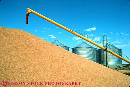 Stock Photo #6830: keywords -  agriculture barley brown died dry drying elevate elevator equipment farm farming farms grain grains harvest harvested harvesting horz machine machinery pile process processing silo silos