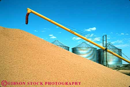 Stock Photo #6830: keywords - agriculture barley brown died dry drying elevate elevator equipment farm farming farms grain grains harvest harvested harvesting horz machine machinery pile process processing silo silos