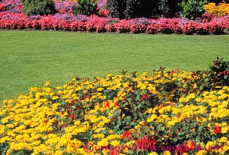 Stock Photo #6848: keywords -  blossom blossomed blossoming blossoms color colorful cultivate cultivated cultivating decorate decorated decorative flower flowering flowers garden gardening gardens grass grow growing grown growth horz landscape landscaped landscaping lawn plant plants spring summer