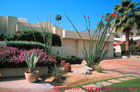 Stock Photo #6855: keywords -  agave cactus california cultivate cultivated cultivating decorate decorated decorative desert dirt dried drought dry dryness earth garden gardening gardens grow growing grown growth home horz hot house landscape landscaped landscaping ocotillo palm plant plants residence residential soil spring springs summer tolerant waterless