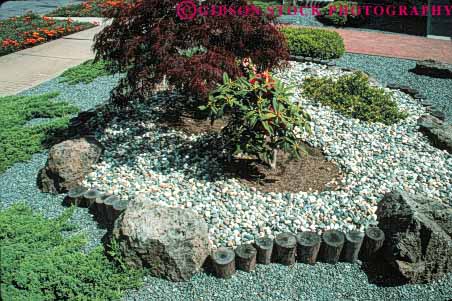Stock Photo #6859: keywords - cultivate cultivated cultivating decorate decorated decorative dirt dried drought dry earth festuca garden gardening gardens grow growing grown growth home horz house japanese landscape landscaped landscaping maple plant plants residence residential rock soil spring summer tolerant waterless