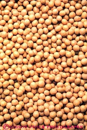 Stock Photo #6882: keywords -  agriculture bean beans beige brown circle circular crop crops cultivated grow growing grown growth harvest harvested legume legumes lots many multitude pattern pile plant produce repeat repeats repetitious round soy soybeans sphere spheres spherical texture vert white