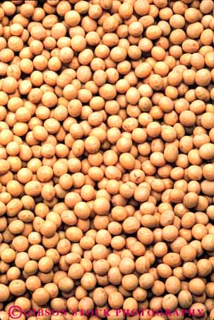 Stock Photo #6882: keywords - agriculture bean beans beige brown circle circular crop crops cultivated grow growing grown growth harvest harvested legume legumes lots many multitude pattern pile plant produce repeat repeats repetitious round soy soybeans sphere spheres spherical texture vert white