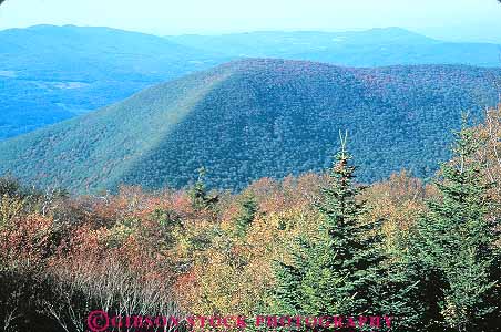 Stock Photo #13778: keywords - adams autumn berkshire berkshires color conifer coniferous deciduous ecology elevate elevated environment evergreen fall foliage forest forests green greylock habitat habitats hiils hills horz landscape massachusettes massachusetts mix mixed mount mountain mountains mt mt. nature north overhead plant plants scenery scenic tree trees view