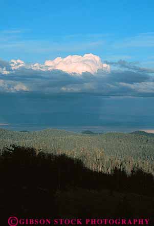 Stock Photo #13781: keywords -  and cloud clouds conifer coniferous ecology elevate elevated environment evergreen forest forests green habitat habitats hiils hills landscape moisture mountain mountains nature oregon overhead plant plants scenery scenic spring storm summer thunderhead tree trees vert view weather