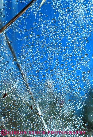 Stock Photo #7882: keywords - abstract abstraction abstracts arachnid blue close dawn delicate dew drop drops glisten glistening glistens nature pattern spider spiders up vert water web webs wildlife