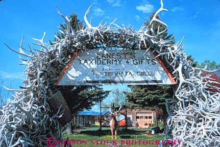 Stock Photo #8033: keywords -  animal animals antler antlers arch circular colorado curve dead display displayed elk entry gate horz hunt hunted killed lots mammal mammals many mount pile preserve preserved shoot shop stack stuffed taxidermy trophy