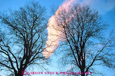 Stock Photo #13877: keywords -  behind branch branched branches branching california cloud clouds deciduous forest forests horz mood moody oak silhouettes silouette sky sunset sunsets tree trees