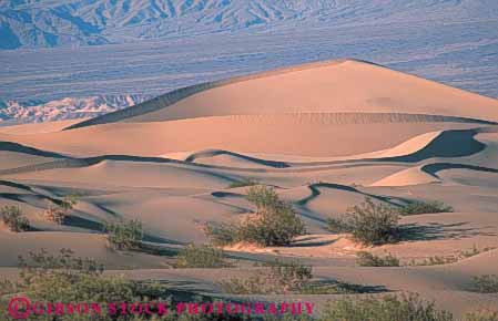 Stock Photo #7125: keywords -  accumulate accumulates accumulation barren blown california changeable changing countless death deposit desert desiccated dried dry dune dunes dynamic earth environment geologic geological geology grain grains heat horz hot lifeless movable national nature park particle particles physical pile ripple ripples sand sanddune sanddunes science sediment sedimentary sedimentation valley wind