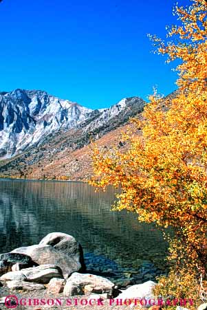 Stock Photo #7177: keywords -  alpine autumn batholith california color convict environment fall geologic geological geology granite lake landscape mountain mountains nature outdoor peak peaks pond relief rock rugged scenery scenic sierra terrain uplift vert water wild wilderness yellow