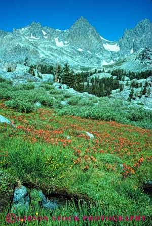 Stock Photo #7179: keywords -  alpine batholith below california environment flower flowers geologic geological geology granite landscape meadow mount mountain mountains mt mt. nature outdoor peak peaks relief ritter rock rugged scenery scenic sierra spring terrain uplift vert wild wilderness