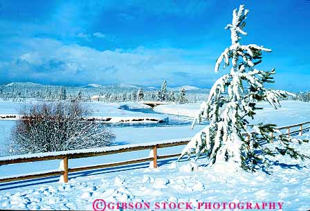 Stock Photo #13691: keywords -  bend chil chilly climate cold deschuettes freeze freezing froze frozen horz ice icy landscape landscapes natural nature oregon peaceful pine precipitation quiet river scenery scenic season serene snow snowy tree weather white winter