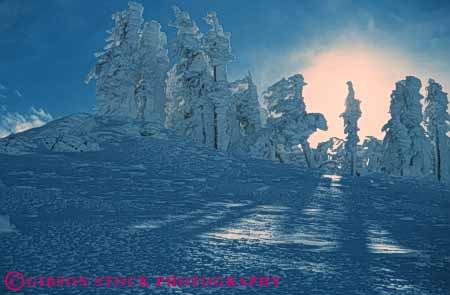 Stock Photo #7221: keywords - alpine bachelor clean climate cold desolate desolation environment freeze freezing frozen horz hostile ice icy inhospitable landscape mood moody mount mountain mountains mt mt. nature oregon outdoor peak peaks precipitation pristine pure range relief rugged scenery scenic slope sloping snow steep summit terrain trees weather wild wilderness winter