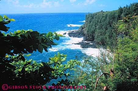 Stock Photo #7251: keywords -  cliff coast coastal continent edge hana hawaii horz land landscape marine maritime maui nature ocean plant scenery scenic sea seascape seashore shore shoreline surf tropical vegetation wave waves