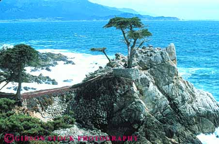 Stock Photo #7255: keywords -  alone california carmel coast coastal continent cypress drive edge granite horz land landscape lone lonely marine maritime mile nature ocean point privacy private scenery scenic sea seascape seashore seventeen shore shoreline solitary solitude surf tree trees wave waves