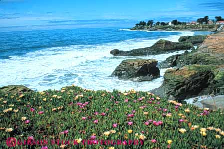 Stock Photo #7257: keywords - california coast coastal continent cruz edge flower flowers horz land landscape marine maritime nature ocean santa scenery scenic sea seascape seashore shore shoreline spring surf wave waves