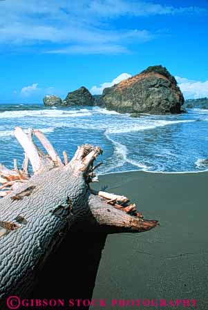 Stock Photo #7260: keywords - beach california coast coastal continent drift edge island land landscape log marine maritime nature ocean redwood sand scenery scenic sea seascape seashore shore shoreline surf trinidad vert wave waves wood