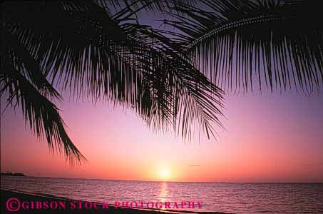 Stock Photo #7281: keywords -  branch coast coastal dawn dusk florida horz key landscape limb mood moody nature palm pink scenery scenic shore shoreline silhouette sun sunrise sunset tree warm west