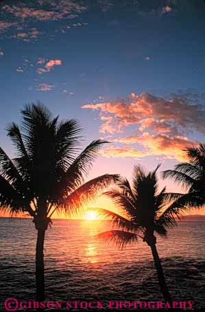 Stock Photo #7287: keywords -  coast coastal dawn dusk glisten glistening glistens hawaii hot landscape mood moody nature ocean orange palm scenery scenic shore shoreline silhouette sun sunrise sunset trees vert warm water