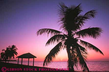 Stock Photo #7301: keywords -  beach cabana climate coast coastal dawn dusk florida horz key landscape mood moody nature ocean palm plant plants sand scenery scenic sea seascape shore shoreline silhouette sun sunrise sunset tree warm weather west