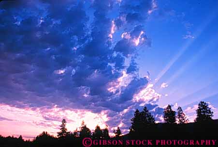 Stock Photo #7304: keywords -  bonners climate cloud clouds dawn dramatic dusk ferry forest horz landscape mood moody nature pine scenery scenic sun sunrise sunset tree trees warm washington weather