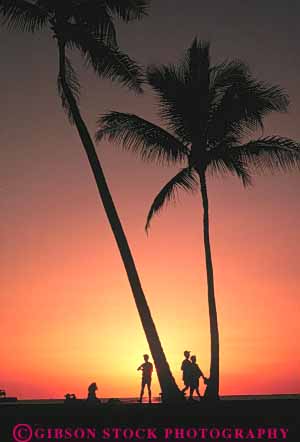Stock Photo #7325: keywords -  dawn dusk hawaii island islands mood moody nature orange palm people resort silhouette silhouettes social sun sunrise sunset travel tree vacation vert warm