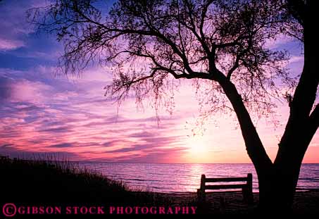Stock Photo #7346: keywords -  beach bear bench building buildings dawn dunes dusk empty evening horz lakeshore landscape manmade michigan mood moody morning national park scenic seat silhouette silhouettes sit sleeping structure sun sunrise sunset tree trees warm