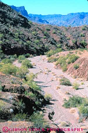 Stock Photo #7363: keywords -  arid arizona bed bright climate climatology creek desert desiccate dried drought dry drying dryness environment evaporate habitat hot landscape nature parch parched plant planwts river seasonal stream streambed sunny vert warm wash waterless xeric