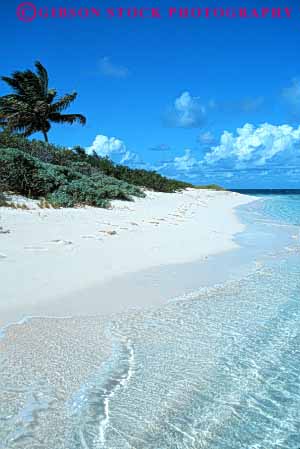 Stock Photo #7373: keywords - beach churn churning coast coastal continent deposit deposits edge environment erode eroded eroding erosion erosive island islands landscape marine maritime nature ocean palm sand sea seascape seashore sediment sedimentary sediments shore shoreline surf tropical vert virgin water wave waves
