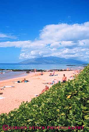 Stock Photo #7386: keywords -  beach coast coastal continent deposit deposits edge environment erode eroded eroding erosion erosive hawaii landscape marine maritime maui nature ocean people sand sea seascape seashore sediment sedimentary sediments shore shoreline sunny sunshine surf vert water wave waves