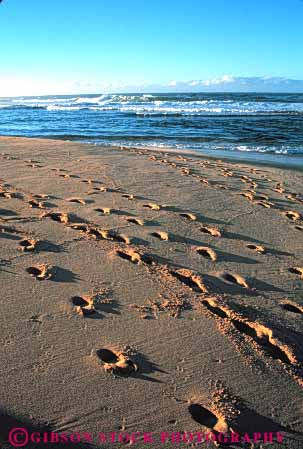 Stock Photo #7391: keywords -  beach coast coastal continent deposit deposits edge environment erode eroded eroding erosion erosive footprint footprints footstep footsteps gooey hawaii impression landscape marine maritime nature ocean sand sea seascape seashore sediment sedimentary sediments shore shoreline sink soft sunny sunshine surf trace track tracks vert water wave waves wet