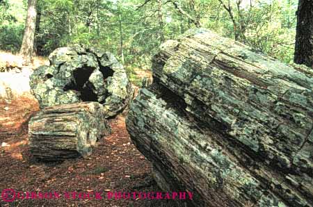 Stock Photo #7394: keywords -  california calistoga dated formation fossil fossilized fossils geologic geological geology horz mineralized old paleontology petrification petrified prehistoric rock stone tree trees wood