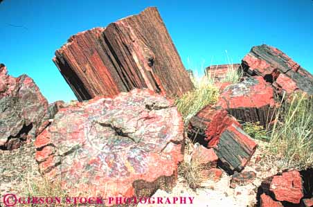 Stock Photo #7395: keywords -  arizona dated forest formation fossil fossilized fossils geologic geological geology horz mineralized national old paleontology park petrification petrified prehistoric rock stone tree trees wood