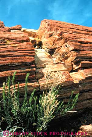 Stock Photo #7396: keywords -  arizona dated forest formation fossil fossilized fossils geologic geological geology mineralized national old paleontology park petrification petrified prehistoric rock stone tree trees vert wood