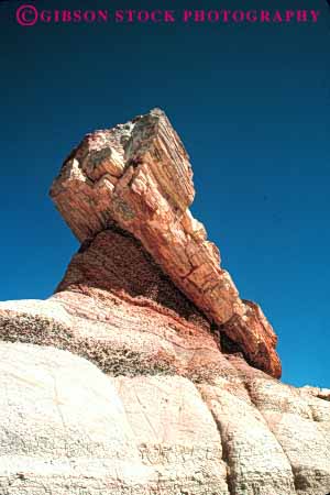 Stock Photo #7397: keywords -  arizona dated forest formation fossil fossilized fossils geologic geological geology mineralized national old paleontology park petrification petrified prehistoric rock stone tree trees vert wood