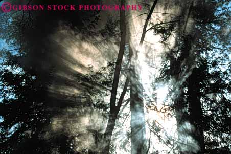 Stock Photo #7405: keywords - abstract abstraction abstracts bright burst celestial cloud clouds fog foggy horz light mist misty mood sky solar star streaks sun sunny sunshine trees