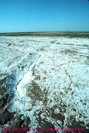 Stock Photo #7420: keywords - agriculture buildup built california corcoran crust crusted damage deposit deposited deposition drought earth encrusted encrusting environment evaporate evaporating evaporative farm farming farms field fields habitat land lowland lowlands mineral minerals nature physical pollute polluted polluting pollution resource resources salt science toxic up vert water wet wetland
