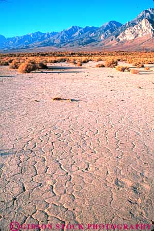 Stock Photo #7421: keywords -  bed california crack cracked desiccate desiccated desiccates dried drought dry drying earth environment evaporate evaporating evaporative habitat lake lakebed landscape lowland lowlands marsh mineral mud muddy nature owens parch parched physical resource resources scenery scenic science shallow valley vert water wet wetland wetlands