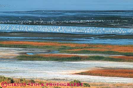 Stock Photo #7422: keywords -  albert bed birds buildup crust crusted deposit deposited deposition drought dry earth environment evaporate evaporating evaporative habitat horz lake lakebed landscape lowland lowlands marsh mineral nature oregon physical resource resources salt scenery scenic science shallow water wet wetland wetlands