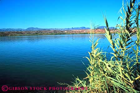 Stock Photo #6939: keywords -  across arizona broad california calm colorado creek downhill drain drainage environment flat flow flowing flows freshwater gravity horizon horz lake landscape nature parker peaceful pond quiet river riverbed runoff scenic serene still stream tributary view water waterway wilderness