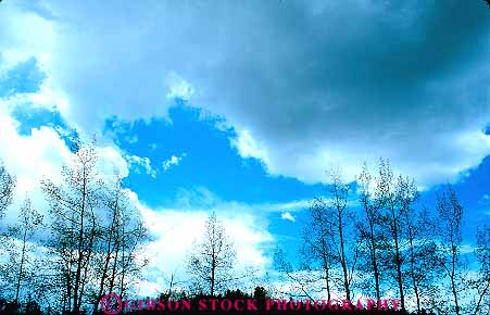 Stock Photo #13840: keywords - aspen canon city climate cloud clouds colorado condensate condense condensed condenses condensing horz moisture mountain mountains region rocky silhouette silhouettes sky storm tree trees vapor water weather