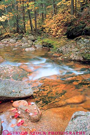 Stock Photo #13843: keywords -  autumn clean color creek creeks downhill downstream england fall flow flowing flows foliage freshwater hampshire highway kancanagus landscape nature near new pure rapid rapids region river rivers sabbaday scenery scenic season stream streams vert water wild wilderness