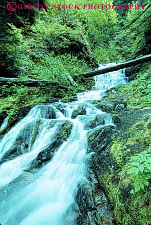 Stock Photo #7003: keywords -  cascade cascades clean clear creek environment fall falling falls flow flowing flows forest fresh freshwater gravity green helens lush mt nature pour pours pure river sparkle sparkling st stream vert washington water waterfall
