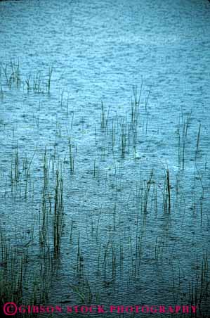 Stock Photo #7027: keywords -  atmosphere atmospheric climate cloud condensate condensation condense condensed condensing cool cooling dark droplet droplets drops environment gravity moisture mood moody nature pattern rain raining rains rainy splash storm storms stormy vert water weather wet