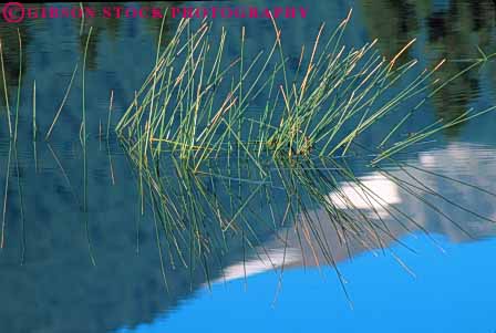 Stock Photo #7047: keywords - abstract abstraction abstracts alone aquatic calm clean environment fresh freshness freshwater grass horz image in lake landscape mirror mood moody natural nature peace peaceful plant pond pristine privacy private pure quiet reflect reflecting reflection reflects remote scenery scenic secluded serene serenity solitary solitude still umtrampled water wet wild wilderness