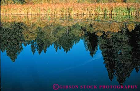 Stock Photo #7051: keywords - abstract abstraction alone autumn calm cattails clean environment fresh freshness freshwater horz image in lake landscape mirror mood moody natural nature peace peaceful pond pristine privacy private pure quiet reflect reflecting reflection reflects remote scenery scenic secluded serene serenity solitary solitude still umtrampled water wet wild wilderness