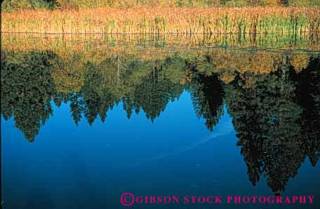 Stock Photo #7051: keywords -  abstract abstraction alone autumn calm cattails clean environment fresh freshness freshwater horz image in lake landscape mirror mood moody natural nature peace peaceful pond pristine privacy private pure quiet reflect reflecting reflection reflects remote scenery scenic secluded serene serenity solitary solitude still umtrampled water wet wild wilderness