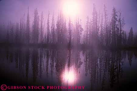 Stock Photo #7054: keywords -  abstract abstraction abstracts alone calm clean cloud clouds dawn environment fog foggy fresh freshness freshwater horz image lake landscape lewis mirror mist misty moisture mood moody national natural nature park peace peaceful pristine privacy private pure quiet reflect reflecting reflection reflects remote river scenery scenic secluded serene serenity solitary solitude still umtrampled vapor water wet wild wilderness wyoming yellowstone