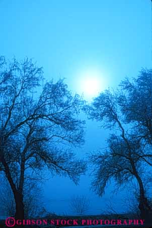 Stock Photo #7072: keywords - abstract abstraction abstracts blue chill chilly climate cloud clouds condense condensed condenses condensing cool dew environment fog foggy gray humid humidity mist misty moisture mood moody nature reduced silhouette sun tree trees vapor vert visibility water weather wet