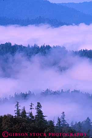 Stock Photo #7073: keywords - abstract abstraction abstracts california chill chilly climate cloud clouds condense condensed condenses condensing cool dew environment fog foggy gray humid humidity mist misty moisture mood moody morning nature reduced valley vapor vert visibility water weather wet